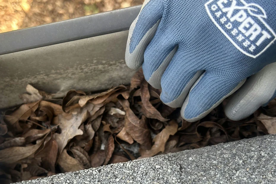 Gutter Cleaning South Richmond