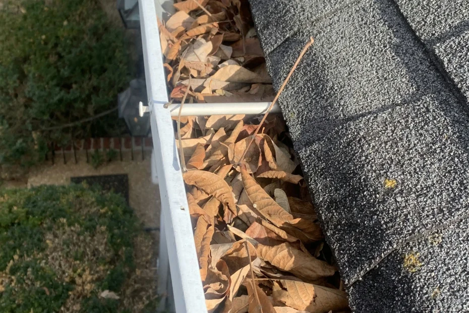 Gutter Cleaning South Richmond