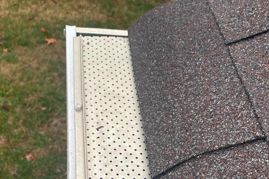 Gutter Cleaning South Richmond